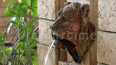 喷泉墙上的雕塑石狮子`头，从嘴里流出清水